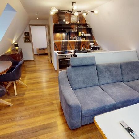 Apartman Atelier Vary V Nove Zrekonstruovanem Dome Karlovy Vary Ngoại thất bức ảnh