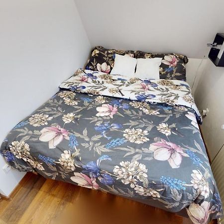 Apartman Atelier Vary V Nove Zrekonstruovanem Dome Karlovy Vary Ngoại thất bức ảnh