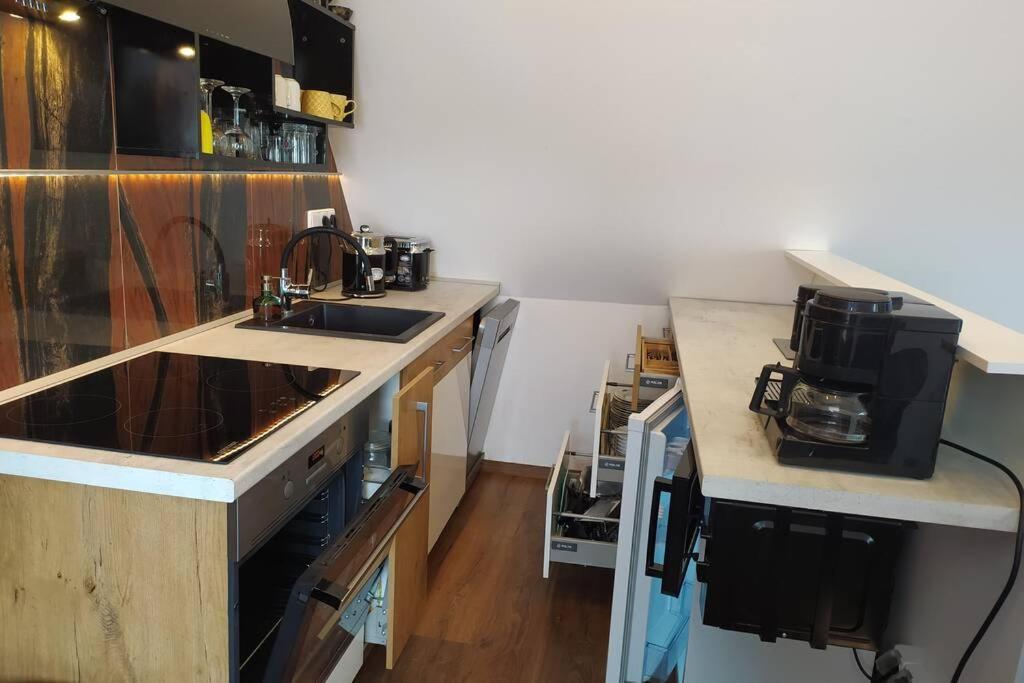Apartman Atelier Vary V Nove Zrekonstruovanem Dome Karlovy Vary Ngoại thất bức ảnh
