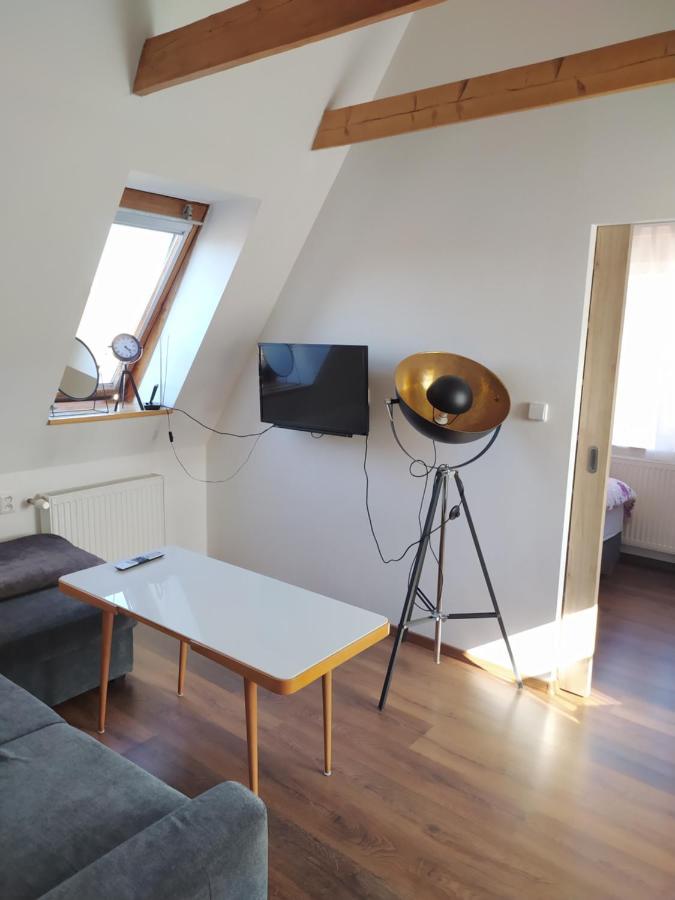 Apartman Atelier Vary V Nove Zrekonstruovanem Dome Karlovy Vary Ngoại thất bức ảnh