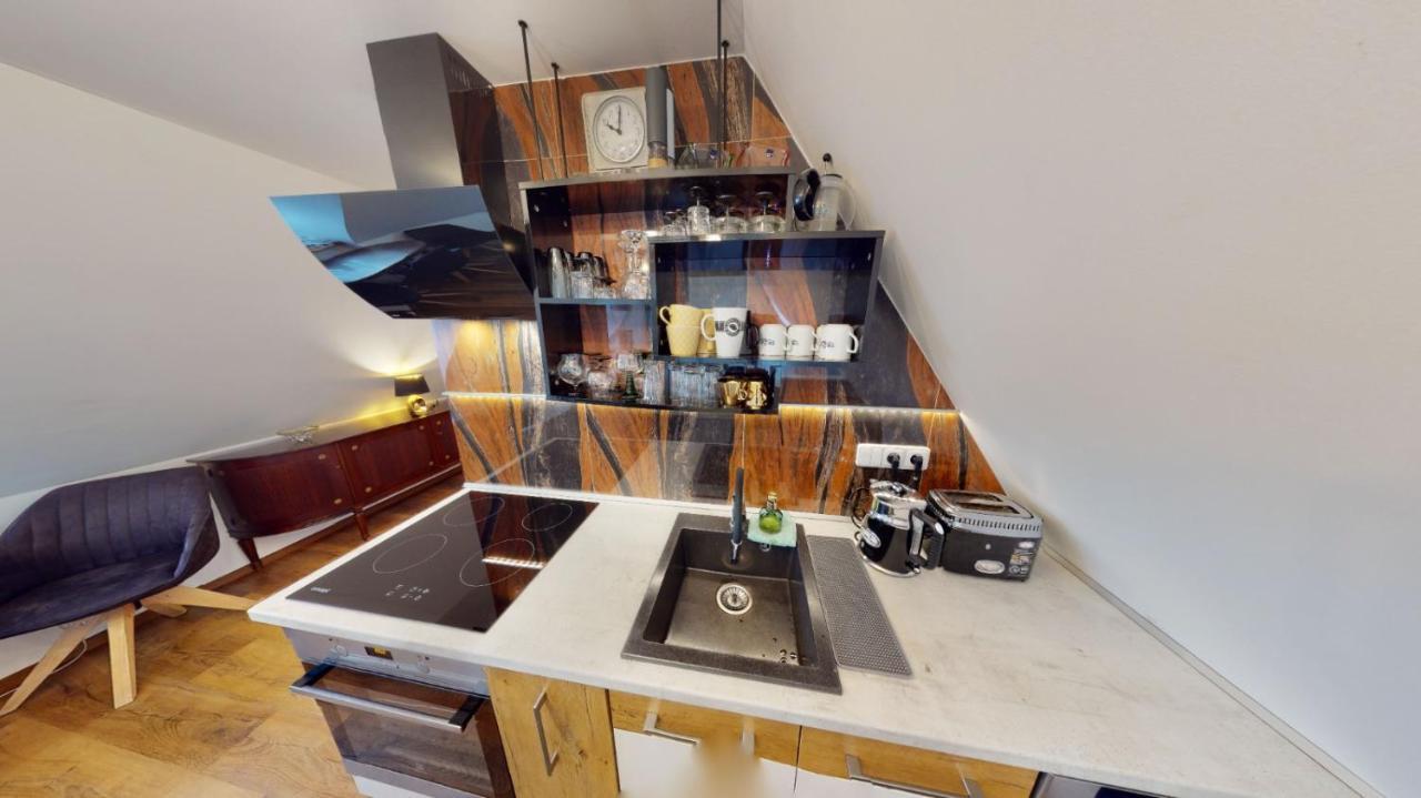 Apartman Atelier Vary V Nove Zrekonstruovanem Dome Karlovy Vary Ngoại thất bức ảnh